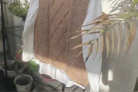 奶咖：样式新颖独特的女士百搭背心（有编织图解）图片