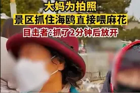 大妈为拍照景区抓住海鸥喂麻花 目击者：大概抓了2分钟左右图片