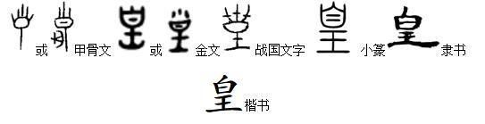 写意中国·说文解"字"丨张素凤:将古文字中的智慧应用到语文教学
