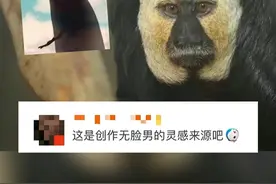 火上热搜！网友：晚上看炸裂，白天看可爱图片