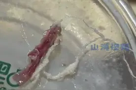 恶心！女生奶茶中喝出这个 专家：这些情况10倍赔偿！图片