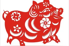 传统文化|十二生肖之亥猪图片