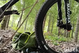 高血压突然死亡十大原因图片