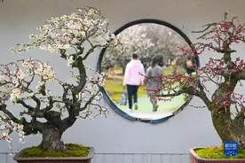 新华全媒+丨诗意中国——春色满园关不住图片