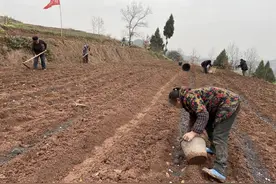 趣说天府春耕⑥丨达州宣汉：管用的“顺口溜” 让农民明明白白种好粮图片