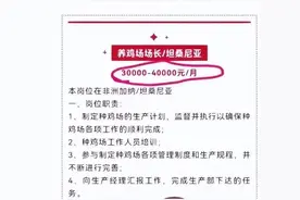 月薪4万招人养鸡？真的！但要求…图片