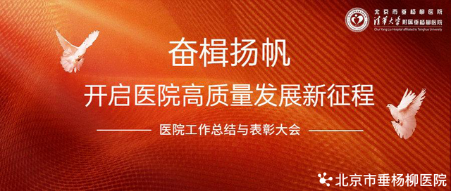 医院工作总结范文（垂医要闻奋楫扬帆）