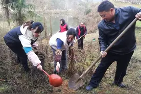 汉中市城固县五堵镇元山村开展植树活动图片
