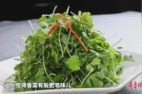 果然视频｜你为啥不爱吃香菜？医生：基因和环境交互作用图片