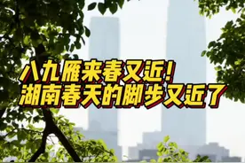 升温！湖南春天的脚步又近了图片
