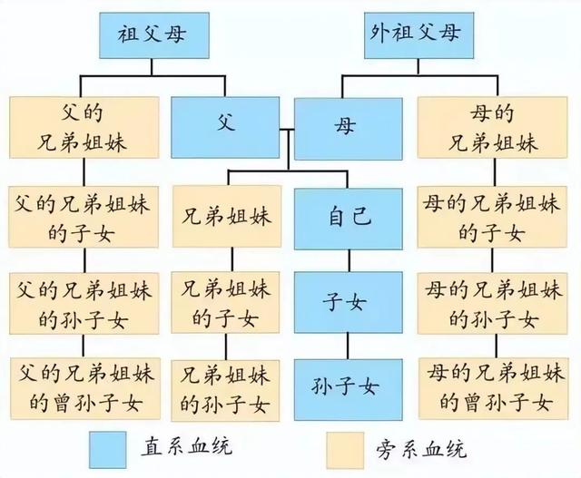 威楚说法 | 结婚生子十余年,法院:婚姻无效!