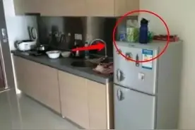 老电工提醒：冰箱上别放这3样东西，费电还影响寿命图片