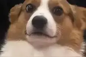 新骗术！女子免费领了一袋水果，结果中招了图片