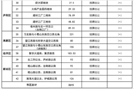 合肥发布今年首批宅地出让清单：42宗地块总面积241万平方米图片