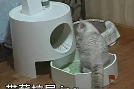 又吐又拉到底是甲流还是诺如图片