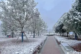 昆明下雪了！云南多地加入下雪“群聊”图片