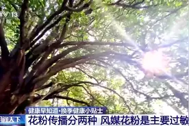 又到一年过敏季，真正“元凶”竟然是它！这样预防→图片