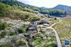 福建永泰：花开古村图片