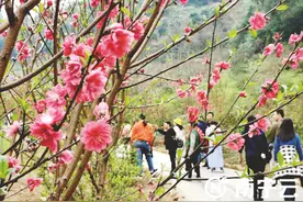 青秀山春日赏花季开启图片