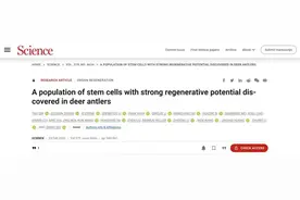 西工大团队在《科学》杂志发表论文 解析哺乳动物再生机制图片