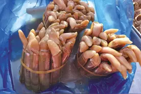 逛市场|15元/斤，又到蛏子肥美时图片