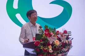 中医药十大学术进展｜青蒿原植物黄花蒿首个染色体级别基因组图谱破解图片