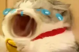 口腔出现异味很可能是疾病的预兆！图片