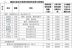 建龙微纳股权激励计划实施：四折价格向49人授股54.4万股图片