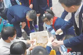 小鸡小鸭南宁学校周边热卖 学生擅自购买家长发愁图片