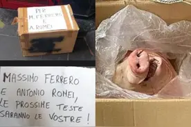 意甲桑普多利亚队收到猪头，神秘人喊话：下一个就是你的头图片