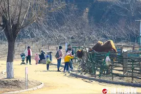 春光正好，来“动物世界”串个门~图片