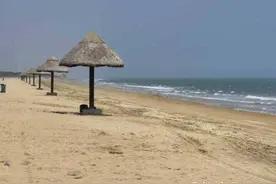 江湖花农：美哉，那香海*图片