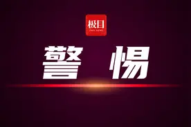 间谍的“易容术”图片