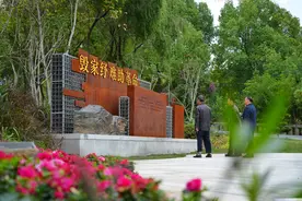 七一观察｜红色美丽乡村为何“红”图片