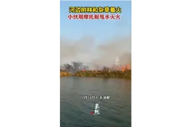 河边树林和杂草着火，小伙用摩托艇甩水灭火图片