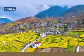 川渝好风光丨油菜花、樱桃花霸屏 快来泸定捕获春天吧图片