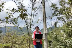 中国移动“5G+千里眼”技术赋能核桃高效种植助力数字乡村建设图片