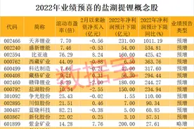 重大进展，国家启动盐湖提锂重点研发计划！产能潜力十足，近六成概念股业绩预喜图片