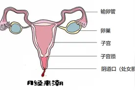 14岁还不来月经，小心这些罕见病图片