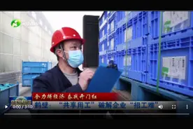 鹤壁：“共享用工”破解企业“招工难”图片