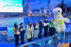 国际北极熊日，百名青年艺术家游武汉极地开启科普季图片