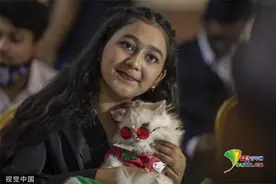 孟加拉国举行猫猫时装秀图片