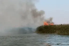 水上漂移式救火，这是技术活！图片