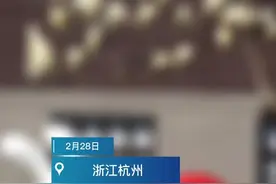 2月的最后一天 杭州春花浪漫静待春天到来图片