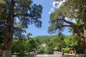 西山大觉寺的白玉兰，数百年来触动了多少文人的心图片