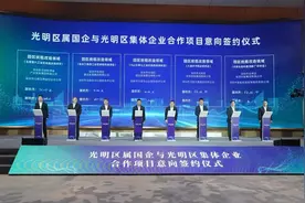 光明“牵手”多家国企、集体企业，涉及投资800亿图片