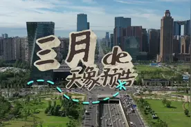 三月的天象剧场 主演“太白金星”有点忙图片