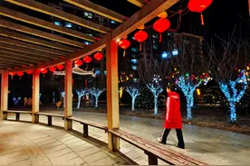 夜晚郯子湖公园，灯光璀璨景色美图片