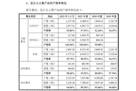 数码喷印墨水厂商蓝宇股份IPO：第一大客户将建成5000吨/年墨水产能 公司存在订单减少风险图片