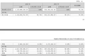 华融化学2022年收入净利润增速不一致，氯产品整体仍亏损图片